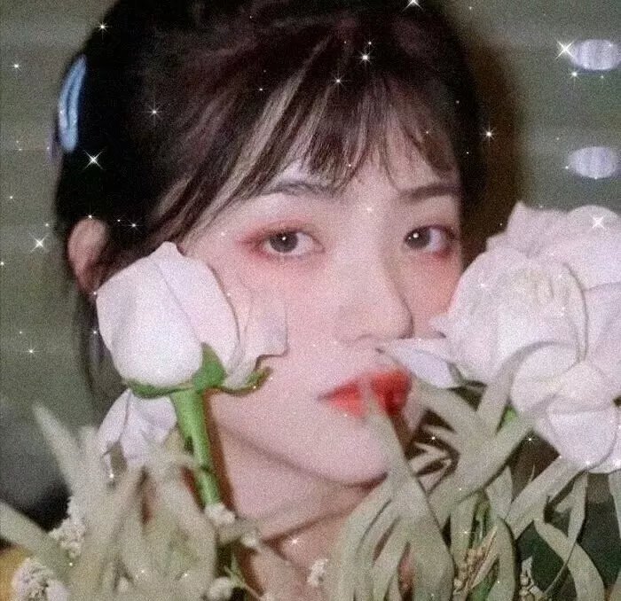 睡美人之终